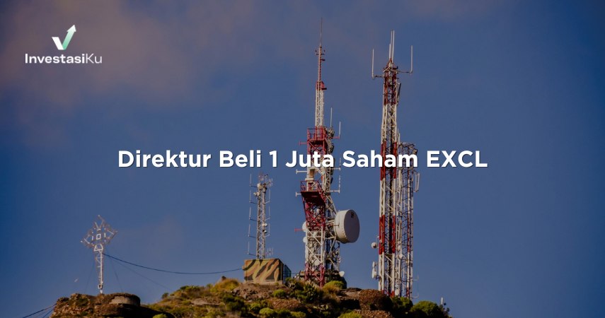 direktur saham excl